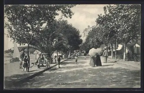 AK Bandol, Promenade du Midi avec passants et arbres ombragés