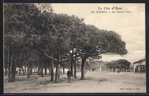 AK Hyères, Les Salins Vieux sous les pins majestueux