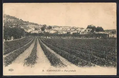 AK Carnoules, Vue générale des champs et du village au fond