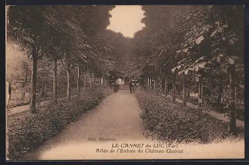 AK Le Cannet du Luc, Allée de l`Entrée du Château Quirici