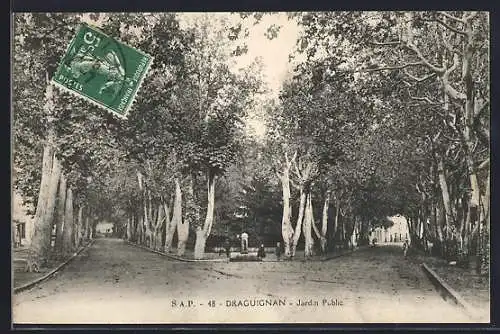 AK Draguignan, Jardin Public et allée bordée d`arbres majestueux