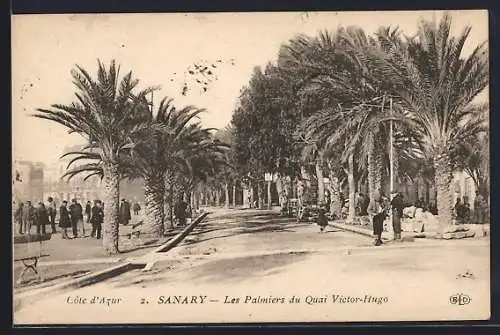 AK Sanary, Les Palmiers du Quai Victor-Hugo
