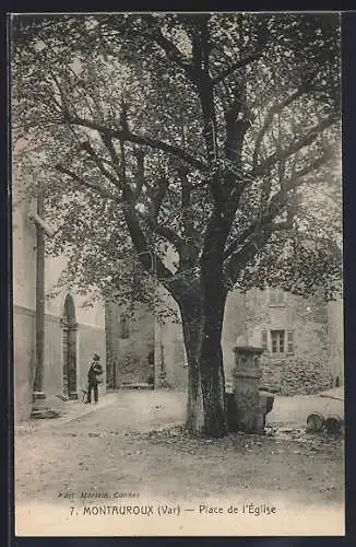 AK Montauroux, Place de l`Église avec grand arbre et fontaine
