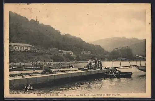 AK Port-Cros, La Jetée et les ravissantes collines boisées en arrière-plan