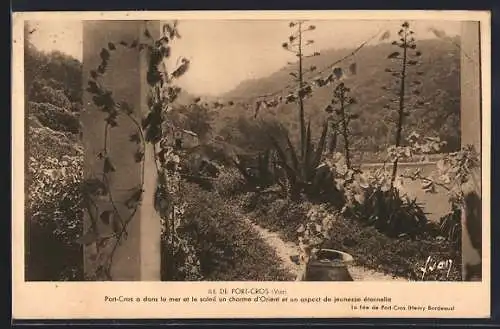 AK Port-Cros, Charme oriental et jeunesse éternelle dans le paysage insulaire
