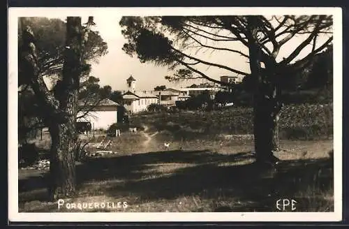 AK Porquerolles, Vue du village à travers les pins