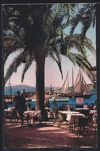 AK Saint-Tropez, Vue sur le port avec voiliers et terrasse sous les palmiers