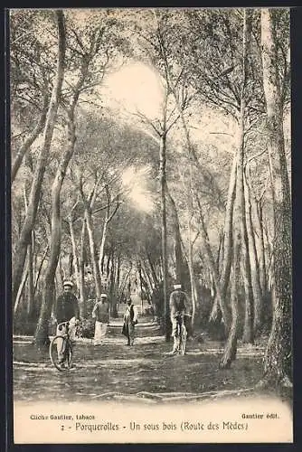 AK Porquerolles, Un sous bois (Route des Mèdes)