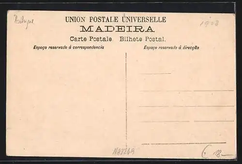 AK Madeira, Elevador do Monte, Bergbahn