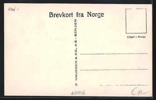 AK Bergensbanen, Myrdalstation, Bahnhof