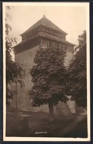 AK Skenfrith, Ortspartie