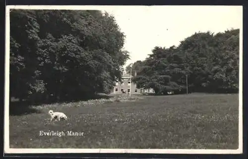 AK Everleigh, Manor