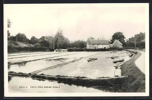 AK Broad Chalk, Cress Beds
