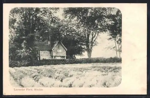 AK Hitchin, Lavender Hill
