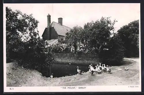 AK Barley, The Mount