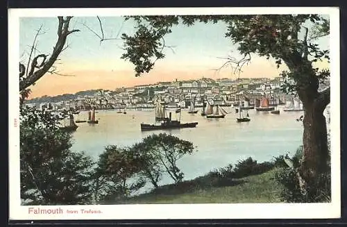 AK Falmouth, View from Trefusis
