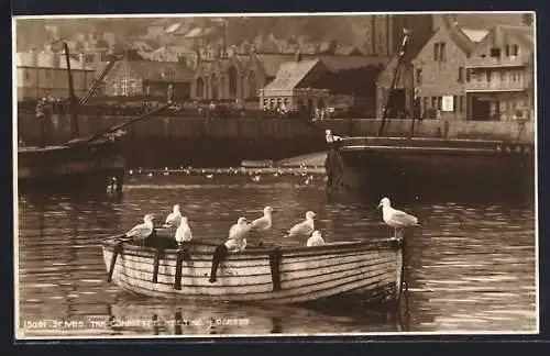AK St. Ives, Seagulls on a Boat, The Committee Meeting