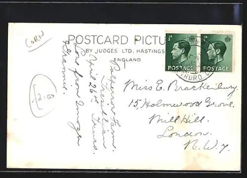 AK St. Ives, Seagulls on a Boat, The Committee Meeting