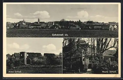 AK Giebelstadt / Ufr., Gesamtansicht, Altes Schloss, Neues Schloss