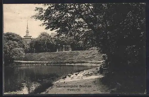 AK Den Haag, Scheveningsche Boschjes, Waterpartij