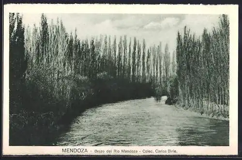 AK Mendoza, Brazo del Rio Mendoza