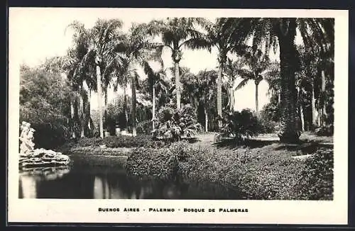 AK Buenos Aires, Palermo, Bosque de Palmeras