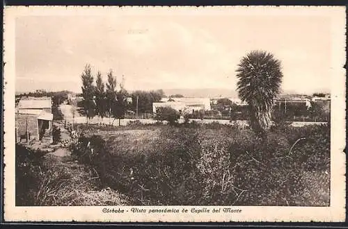 AK Córdoba, Vista panorámica de Capilla del Monte