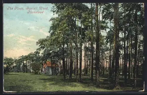 AK Plumstead, Bostall Wood, The PInes