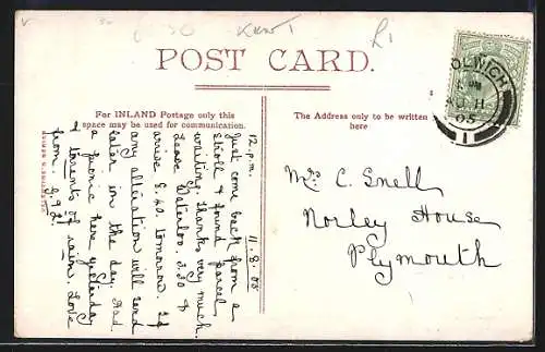 AK Plumstead, Bostall Wood, The PInes