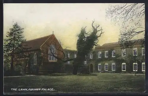 AK Fulham, Fulham Palace, The Lawn