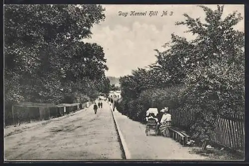 AK Dog Kennel Hill, Strassenpartie
