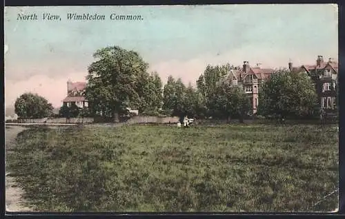 AK Wimbledon Common, North View