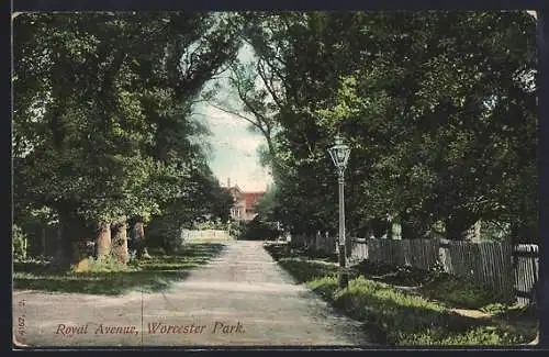 AK Worcester, Park, Royal Avenue