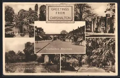 AK Carshalton, Carshalton Beeches, The Grove, The Oaks Mansion