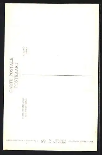 Künstler-AK Hubert Dupond: Asio flammeus flammeus, Sumpfohreule