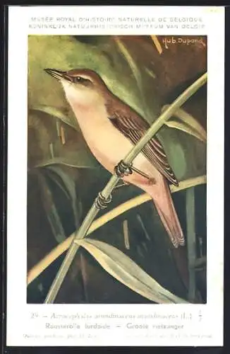 Künstler-AK Hubert Dupond: Groote Rietzanger