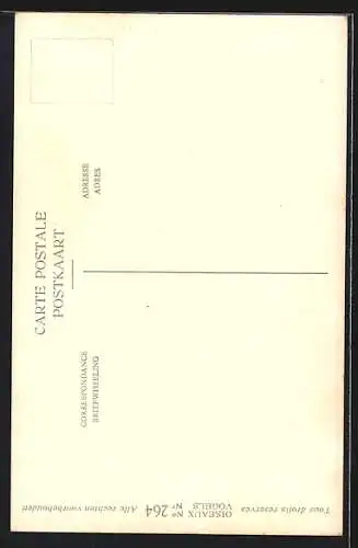 Künstler-AK Hubert Dupond: colymbus arcticus, Prachttaucher