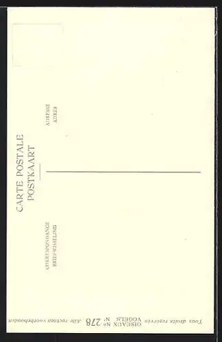 Künstler-AK Hubert Dupond: Musée Royal d'Histoire Naturelle de Belgique, Vogel-Serie: Krombekstrandslooper
