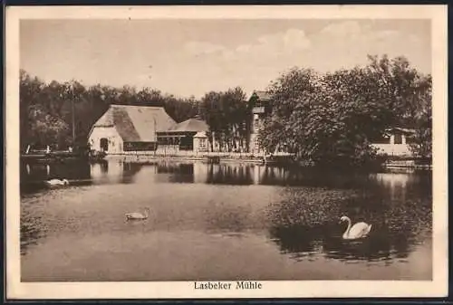 AK Bargteheide, Lasbeker Mühle mit Wasserpartie und Schwänen
