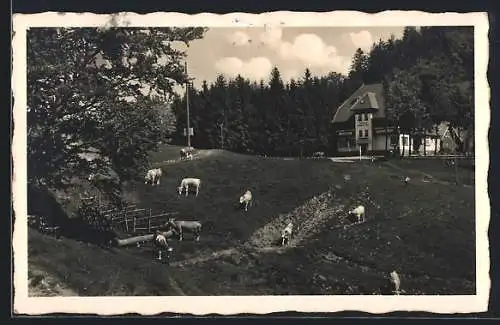 AK Wieden /bad. Schwarzwald, Gasthaus Wiedener Eck, Bes. Ed. Wissler