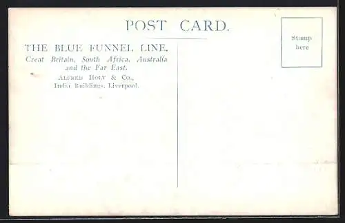 Künstler-AK TSS Nestor in Fahrt