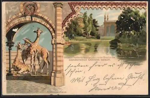 Lithographie Berlin, Antilopenhaus m. Giraffen, Zoologischer Garten