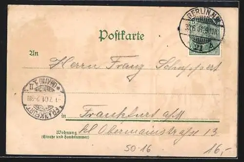 Lithographie Berlin, Antilopenhaus m. Giraffen, Zoologischer Garten