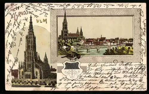 Lithographie Ulm / Donau, Ulmer Münster und Stadtansicht mit Donau, Spatz & Wappen