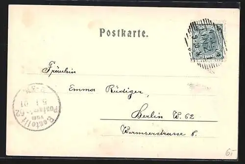 AK Linz a. D., Diesenleitenthal, Ortspartie, Linzerin