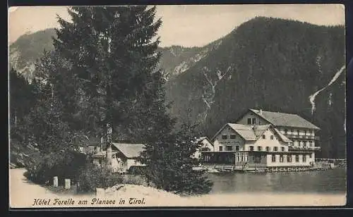 AK Plansee /Tirol, Hotel Forelle am Plansee mit Uferstrasse und Bergpanorama