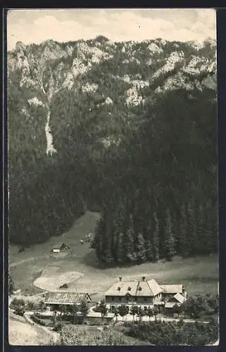 AK Nasswald /N.-Oe., Eugen Wallners Gasthof zum alten Wilderer mit Umgebung aus der Vogelschau