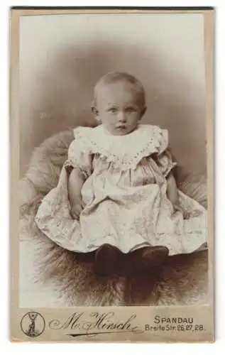 Fotografie M. Hirsch, Spandau, Breite Str. 26-28, Portrait eines kleinen Kindes