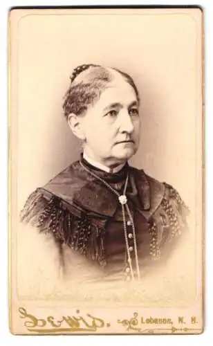 Fotografie Lewis, Lebanon /N. H., Porträt einer Dame