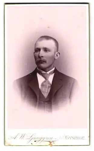 Fotografie A. W. Ljunggren, Gysinge, Porträt eines Mannes mit Schnurrbart